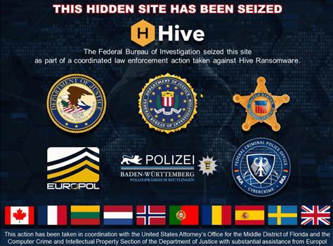 leakhive|Hive ransomware gang dismantled by FBI .